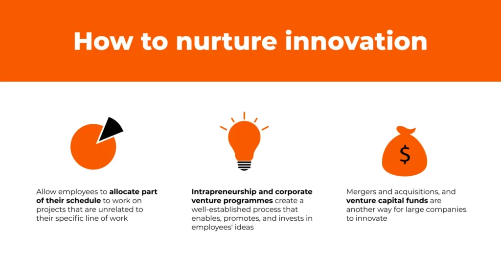 87b6b7a4 how to nurture 1536x785 1 1024x523